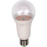 Светодиодная лампа для растений JAZZWAY PPG A60 Agro 15w CLEAR E27 IP20 5049444